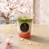 3月5日スタート！春限定「さくら抹茶ラテ」新登場