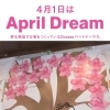 これからの夢や目標を書いて気持ちを前向きに！April Dream（いなびや　千葉稲毛ビール醸造所） 