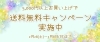 「オンラインストア限定！送料無料キャンペーン実施中！　【伊那市のお土産、ケーキ、スイーツといえばちいずくっきい】」