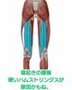 腰痛の原因へアプローチ「3月に増えやすい「朝の腰の重だるさ」とハムストリングスのお話【新潟市東区山の下の整体院】」