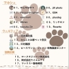 イベントご出店者様のおしらせ〜♫