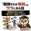 「学習すれば、学力で選択肢は増える。でも、そこで迷子にならぬためには？」