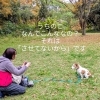 なぜ噛む？なぜ吠える？〇〇しないは「させてない」から■犬のしつけ方