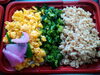 特製三色そぼろ丼です。「手作り弁当出来ました！」