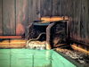 「Why Japanese Sulfur Onsen Are Special – Come Experience It at Aritaya Ryokan」