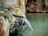 「First Time Visiting an Onsen? How to Enjoy a Japanese Hot Spring」