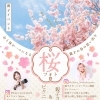 🌸✨ 春の特別コラボ親子イベント ✨🌸　　江戸川区小松川千本桜でキッズ・ファミリーの桜撮影会を開催します！
