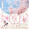 🌸✨ 春の特別コラボ親子イベント ✨🌸　　江戸川区小松川千本桜でキッズ・ファミリーの桜撮影会を開催します！