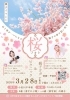 親子で桜フォトピクニック！「🌸✨ 春の特別コラボ親子イベント ✨🌸　　江戸川区小松川千本桜でキッズ・ファミリーの桜撮影会を開催します！」