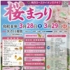 2026.3.28.お花見スタンプラリーのお手伝い！(桜まつり)