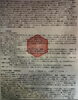 占い「「この占いすごい」と言われる天命書」