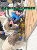 「今月の福祉施設さんのレッスンです❣️」
