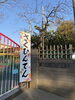 さくひんてん🌱園長先生の直筆です🎶「作品展🎨＆カブの収穫𓂃🌿𓈒𓏸」