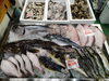 令和8年3月7日 店内「📣本日のお魚情報🐟」