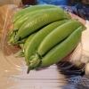 旬のスナップエンドウ！【福島市の八百屋さん 幸青果/福島市、伊達市・伊達郡、二本松市など県北中心にお届けします！】