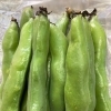 ビールおともに！そら豆  【福島市の八百屋さん 幸青果/福島市、伊達市・伊達郡、二本松市など県北中心にお届けします！】