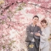 伏見稲荷観光のあとに、ひと足早く河津桜さんぽへ