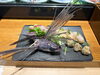 とびうおまるごと！華を添える一品「房州飛魚の姿造りセットが入荷しました」