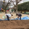 🌿🫧ふわふわの畑作り💪🏻