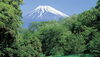 不動心「テンプレ　☆時の日和見〜毎日の時の力の使い方〜☆」