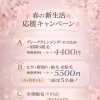 🌸春の新生活応援キャンペーン桜🌸のお知らせ