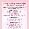 🌟プレゼントキャンペーン中🌟