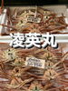 ズワイガニ「鮮魚入荷致しました」