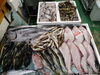 令和8年3月8日 店内「📣本日のお魚情報🐟」