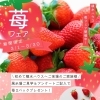 苺フェア開催！ご来場でいちご2パックプレゼント