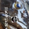 天然クエ入荷致しました！