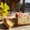 明日、3月9日(月)臨時休業いたします🙏