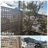 川西市向陽台で木の抜根作業をしました！