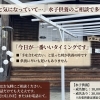  「ずっと気になっていて…」水子供養のご相談で多い言葉