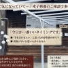  「ずっと気になっていて…」水子供養のご相談で多い言葉