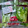 葛飾元気野菜　販売中「【数量限定】🥬葛飾元気野菜販売中！🫜」