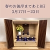 春のお彼岸まであと8日🌸 3月17日〜23日