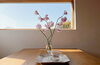 「山市｜「類は友を呼ぶ」あなたの周波数を整えて、望む現実を引き寄せるレイキヒーリングの秘密」