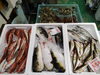 令和8年3月10日 店内「📣本日のお魚情報🐟」