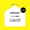 【岩見沢 クロス補修】ペットの引っかき傷や子供の落書きも対応