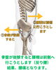 反り腰が招く腰痛のメカニズム「「腰痛の原因は腰にあらず」骨盤の後傾と全身のつながりのお話」