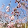 紫外線って何が悪いの？|和歌山　妊活サロン