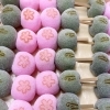 なみはやだんご販売中です