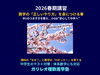 八王子・めじろ台の数学塾 ガリレオ理数進学塾 2026年春期講習「【2026年春期講習】数学の「正しいやり方」を身につける春｜八王子市めじろ台・高尾の個別指導『ガリレオ理数進学塾』」