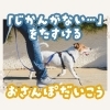 リモートワーク・育児・体調不良。忙しい日のお散歩は、『お散歩代行』という選択を。【江戸川区・西葛西のペットシッター】