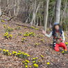 一面に咲き乱れる福寿草に大感激♪♪🥰「春を堪能♪♪🌼初心者登山イベント⛰️ 【茅野市/整体×運動で健康アップ】」