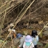 「やってみたい！」があふれる探検　野外活動のようす