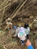 発見の喜び、無限の好奇心「「やってみたい！」があふれる探検　野外活動のようす」
