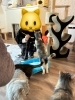 「🐱課外活動【猫カフェ】🐱」