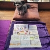 看板犬テンと春のお題でほっこり幸座