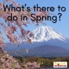 Teacher'sコーナー238号 Try reading this.【千葉のならいごと　英会話スクール】